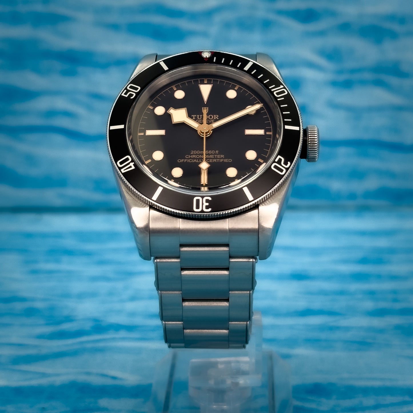 Tudor Heritage Black Bay 41MM
