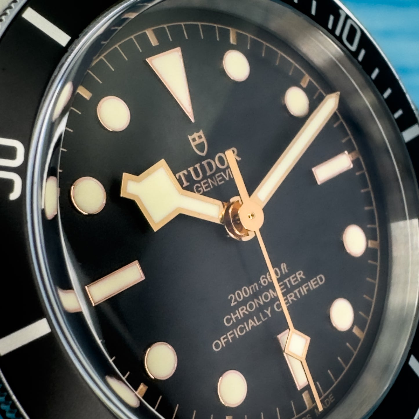 Tudor Heritage Black Bay 41MM