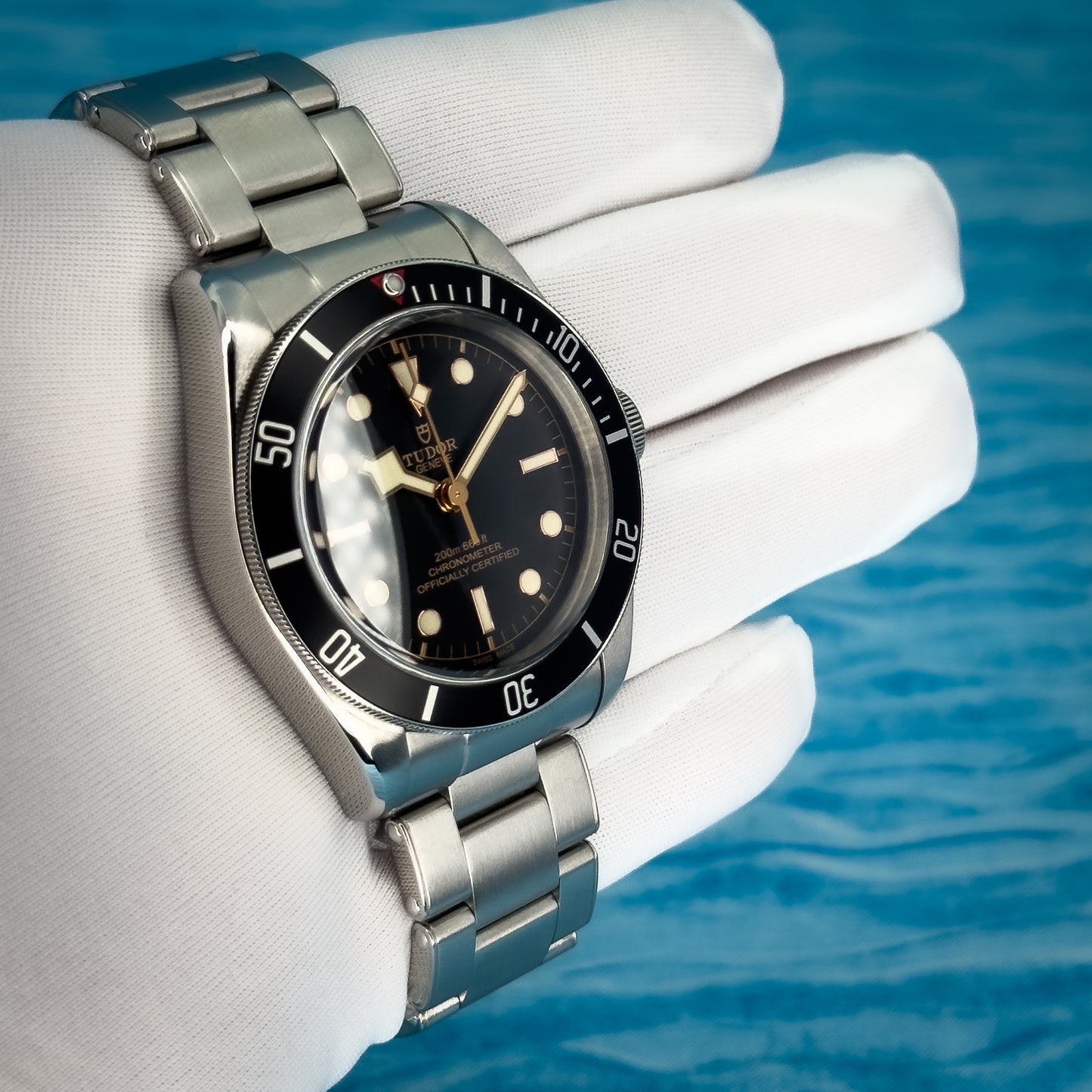 Tudor Heritage Black Bay 41MM