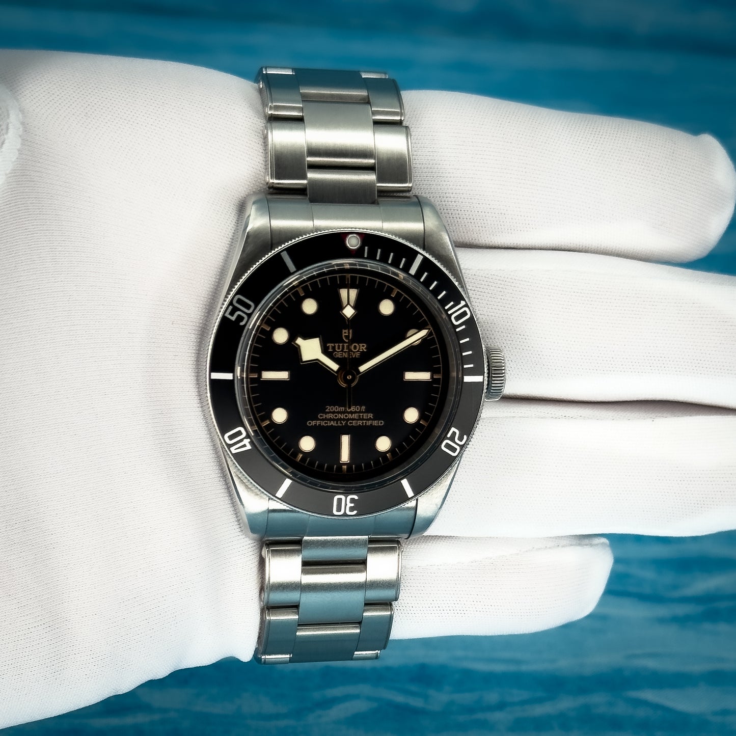 Tudor Heritage Black Bay 41MM