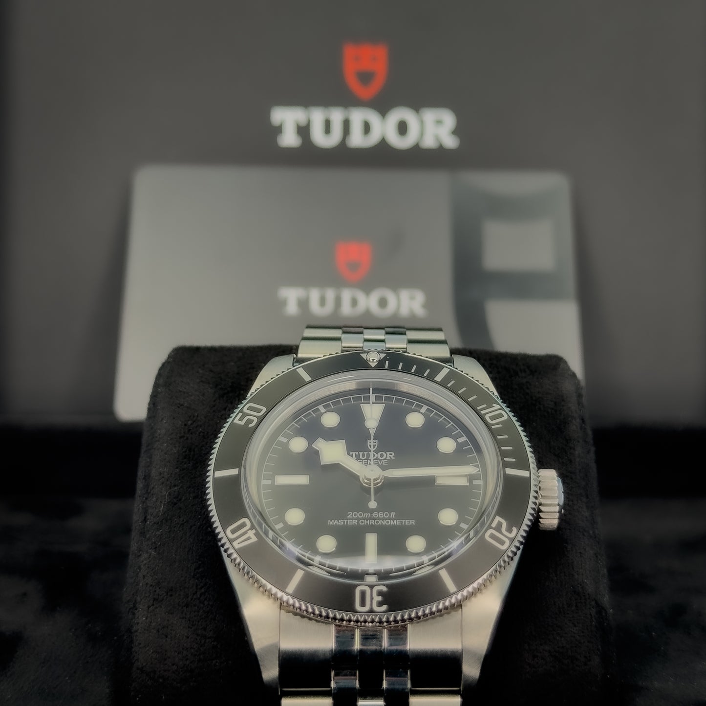 Tudor Black Bay Monochrome 41MM